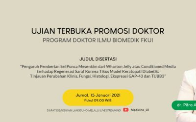 Promosi Doktor dr. Pitra Ariesta Shinta Dewi, SpM