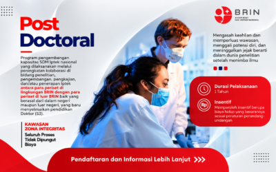 BRIN Post-Doctoral Programme